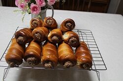 IMG_2642
