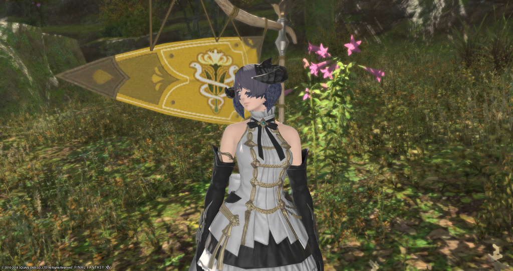 ffxiv_20181110_233956