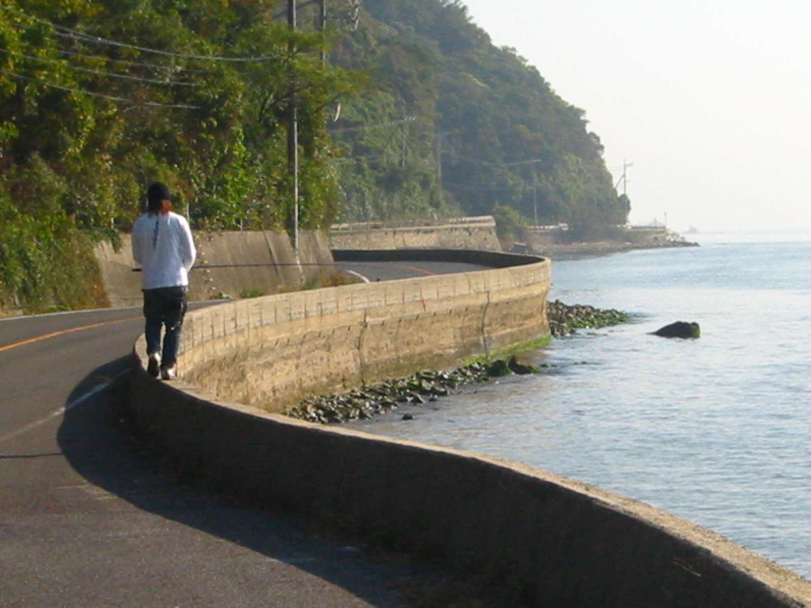 島根半島エギング パゴス スタッフ釣行記