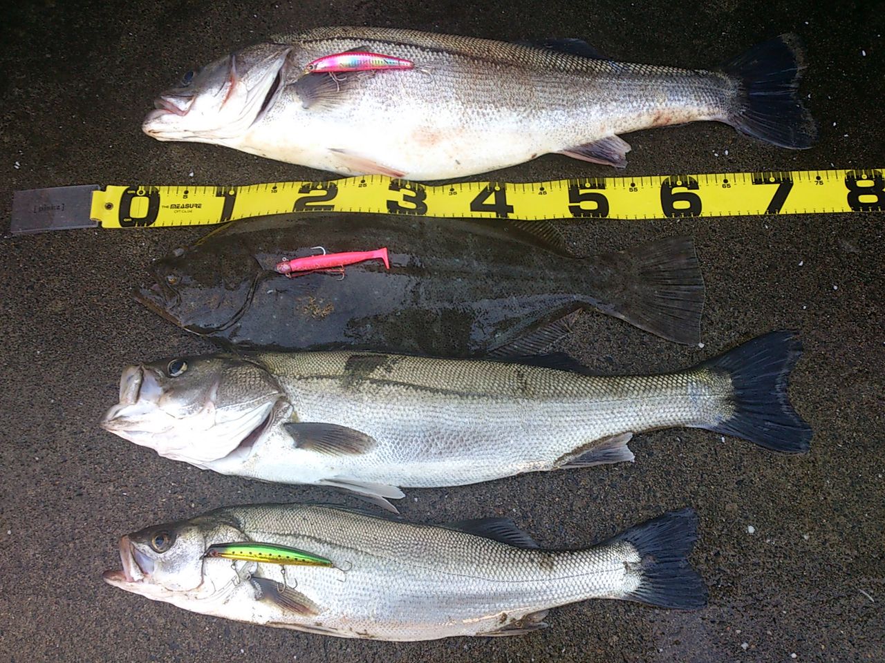 鹿行地区 鹿島灘サーフ ソルトルアーフィッシング