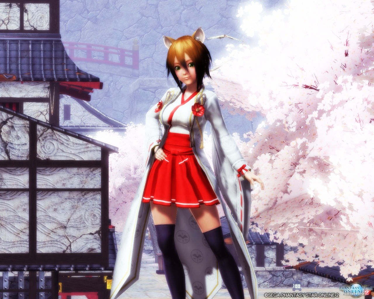 メディカルキュアステーションのコスチューム Pso2 ぱふ日記