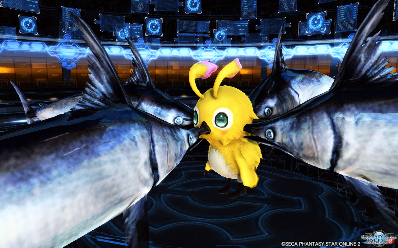 カジキヘッドが大流行 Pso2 ぱふ日記