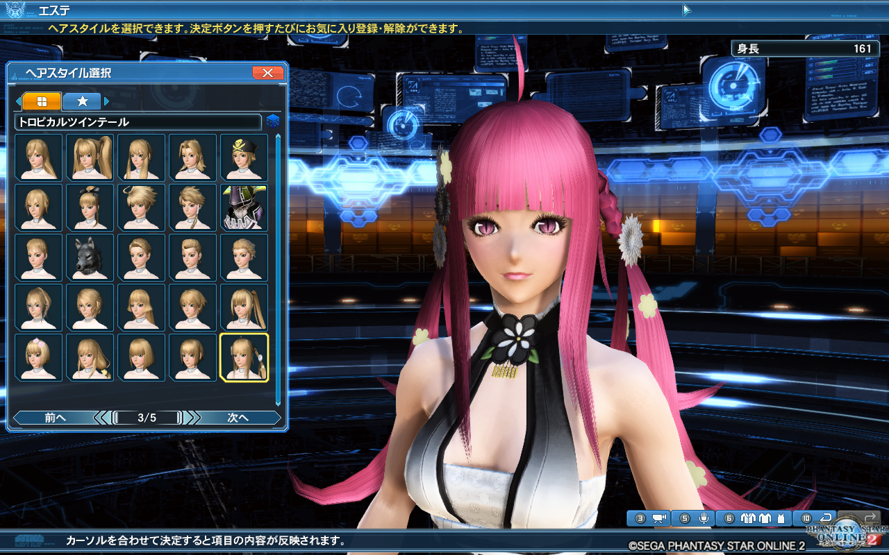 戌年アクセサリーセレクト 髪型編 Pso2 ぱふ日記