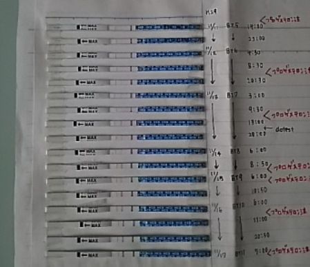 11~17①妊娠検査薬