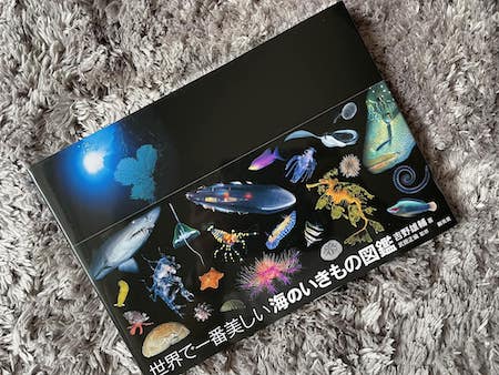 366726247_3526534327618985_9099247702366663756_n