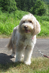 ¥Ñ¥¤»Ð¤µ¤ó