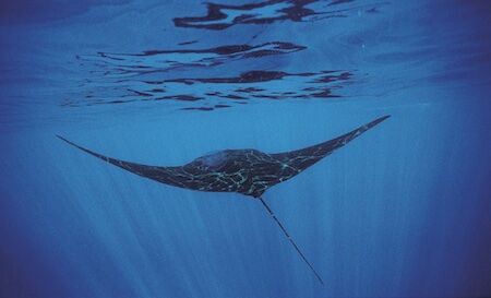 �����꡼�󥷥�å� 2023-04-02 21.25.26�Υ��ԡ� 2