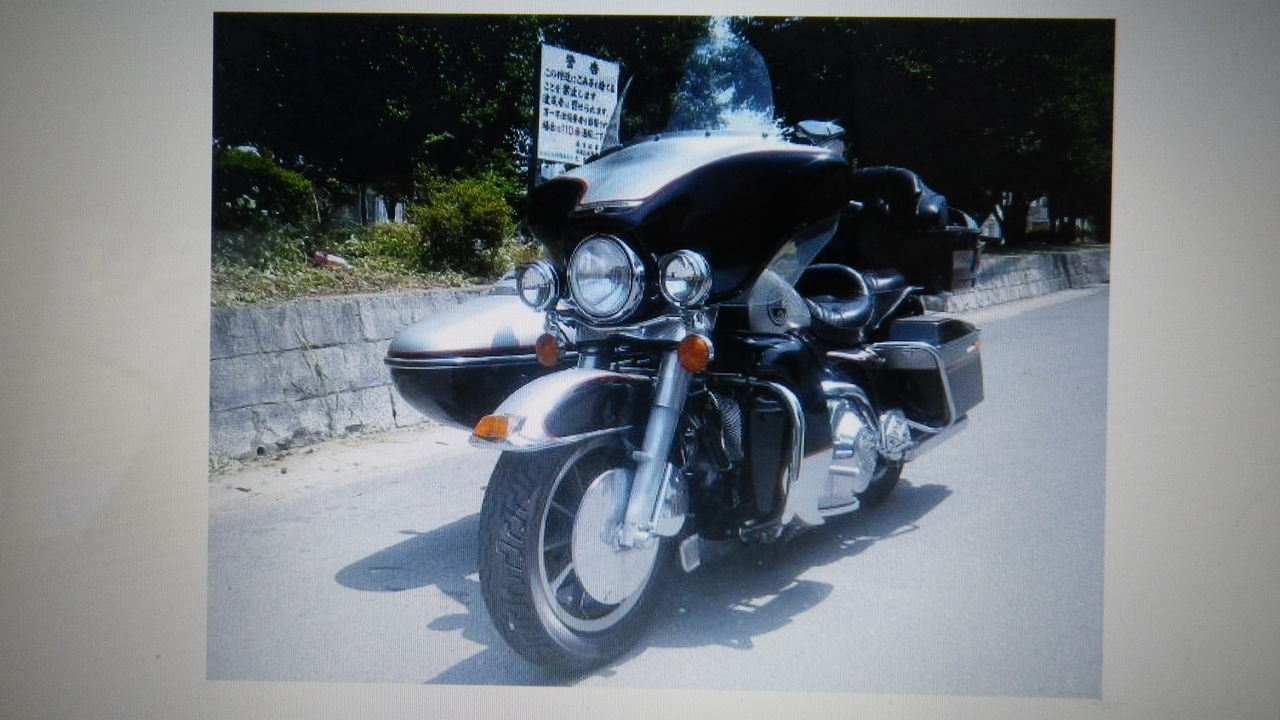 IMGP0016