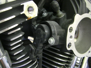 �ϡ��졼���ӥåɥ���Υ����åȥ�ݥ�����󥻥󥵡�