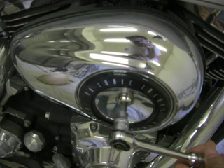 ϡ졼ӥåɥ󿷷ʤΥ꡼ʡС