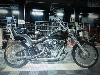 IMGP2507