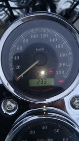 IMG_20240728_143154