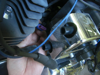 �ϡ��졼���ӥåɥ�������Х�����ץ饰�����ɤȥϡ��ͥ���곰��