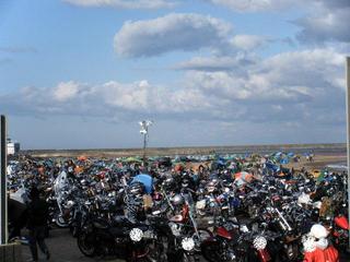 �ϡ��졼�ȥƥ��