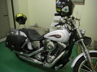 �ϡ��졼���ӥåɥ���Υڥ��饤�ɻ���