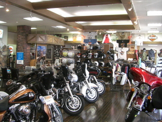 �ϡ��졼���ӥåɥ������Ź��