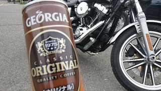 ハーレーとジョージア