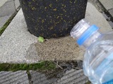 IMG_20220618_125325