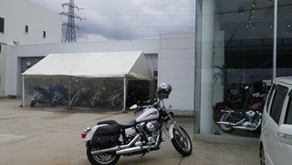 ハーレーの試乗会