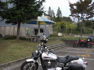 �ϡ��졼���ӥåɥ���ȶ�ε��ʪ��