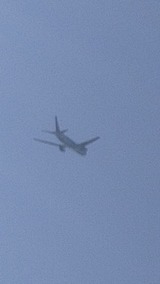 IMG_20241104_104214