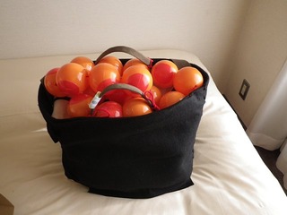 �ϡ��졼�Υ��ߥʡ��ۥƥ�ȥ�����