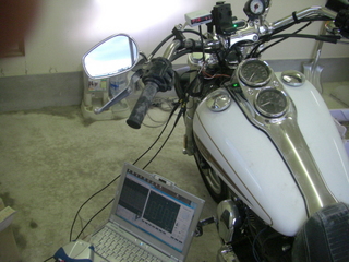 ϡ졼ӥåɥǳ׼®ѥ륹ϼ¸