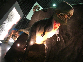 ��ε�ѡ������Ϸ�