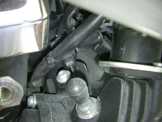 �ϡ��졼���ӥåɥ���ε۵����٥��󥵡�