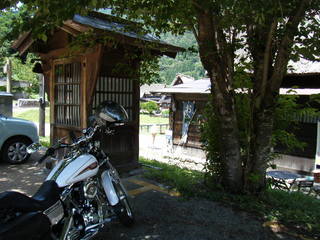 �ϡ��졼���ӥåɥ���������仺