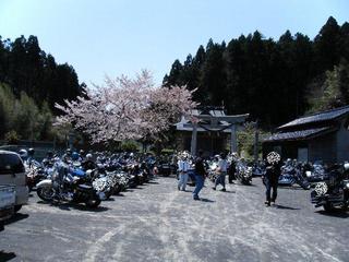 �ϡ��졼�Ȥ�����