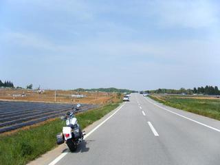 �ϡ��졼���ӥåɥ���ȥ���ȥ꡼������