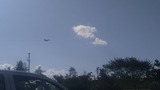 IMG_20241104_103358