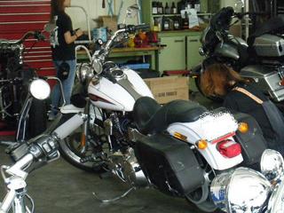 �ϡ��졼�Υ������