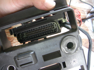 �ϡ��졼���ӥåɥ���Υ����ʤ˥�������ޥå����Ϥ���ߥ����å�