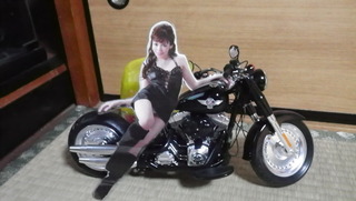 ヴァイブスのグラビアアイドルとハーレー