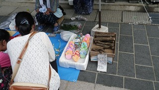 ハーレーとまたたび
