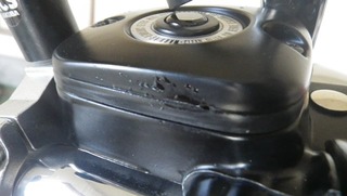 �ϡ��졼�Υ֥졼���ե롼�ɥꥶ���С�����ϳ��