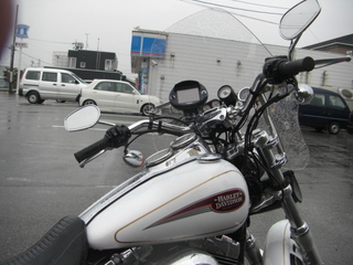 �ϡ��졼���ӥåɥ���Υ���ץ����ġ���󥰽�����