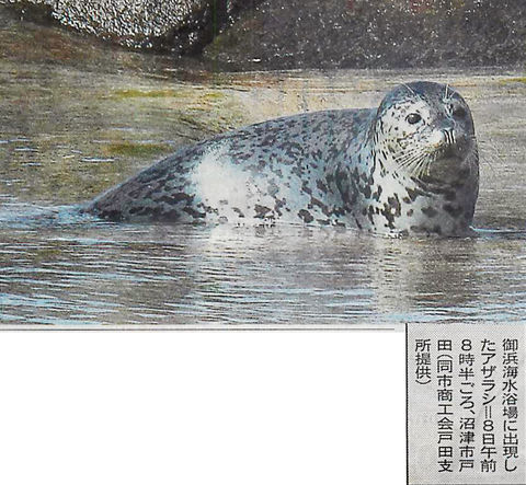 平成25年7月11日(木)