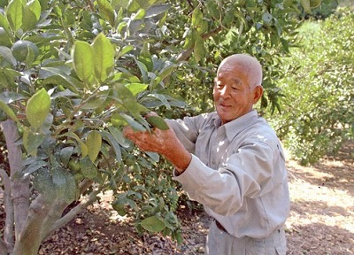 c7294f1b.jpg