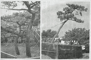 2018年02月17日09時26分07秒0001