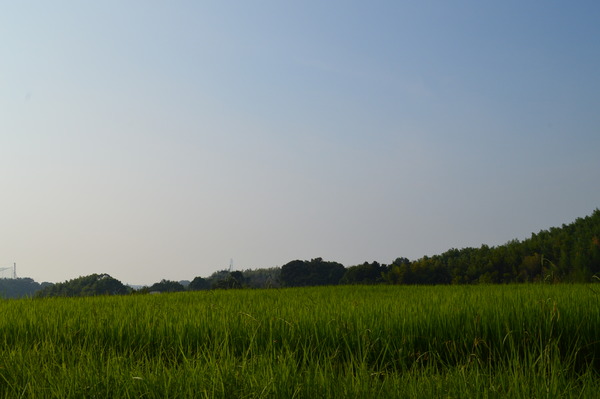 DSC_1037
