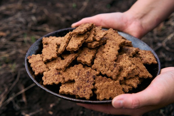 ザクザククッキー2