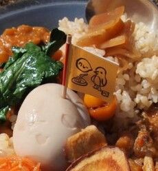 D57CEE5A-BA13-4D04-ACA9-8BE29636509A