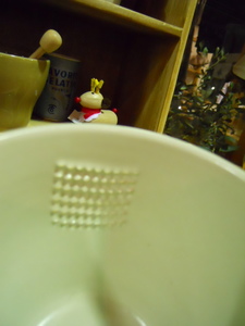 DSCN2045