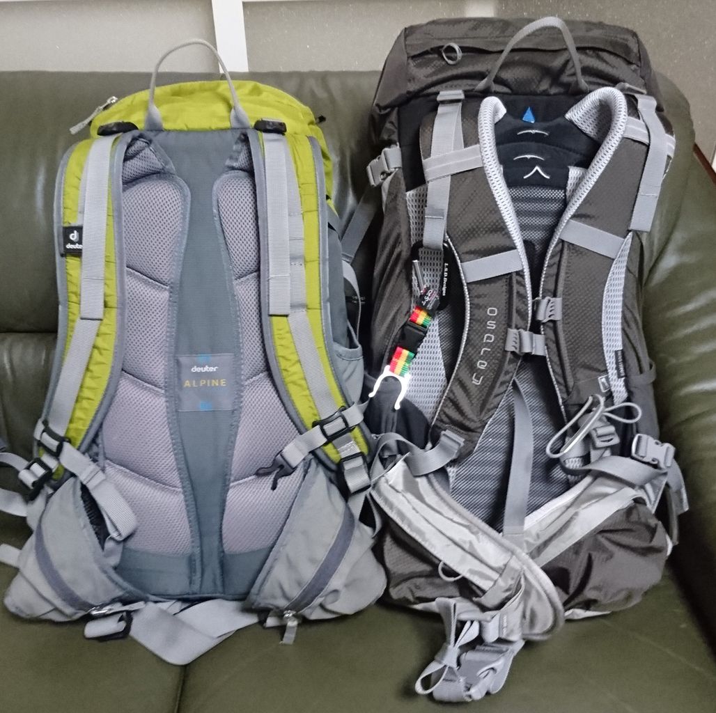 オスプレー Osprey ケストレル28 日々之買い物 安物買いの銭失いなブログ オスプレー Osprey ケストレル28 日々之買い物 安物買いの銭失いなブログ