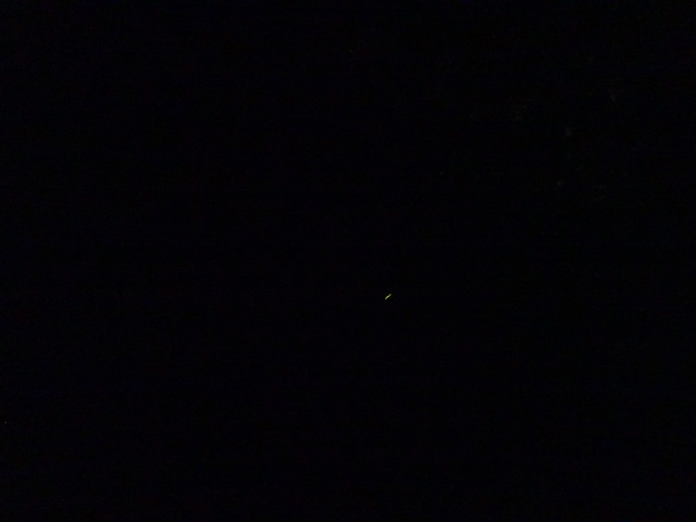 DSC00590