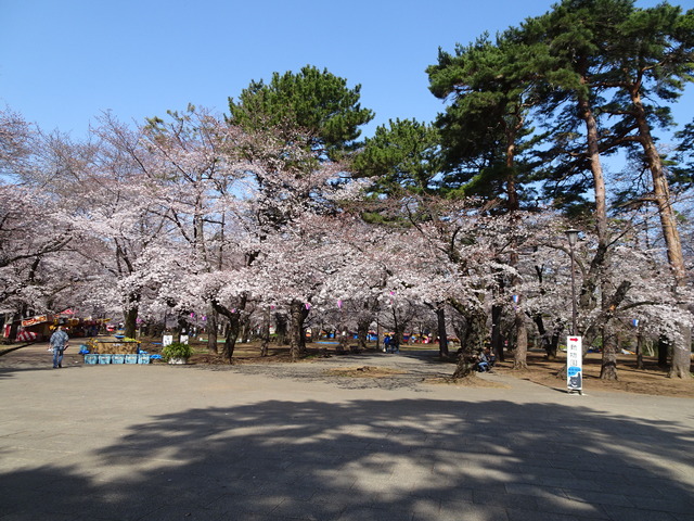 DSC04198