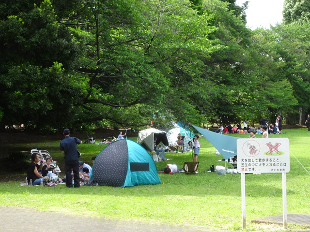 DSC00416